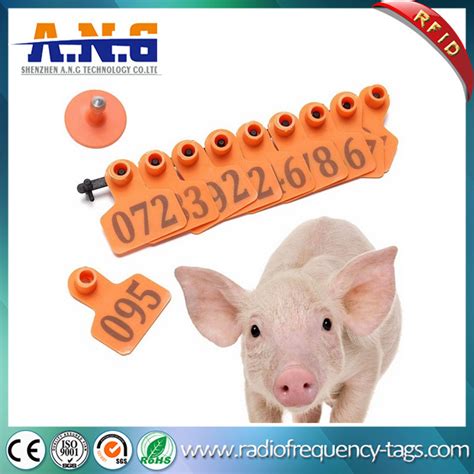 rfid tags for pigs|pa rfid tags for pigs.